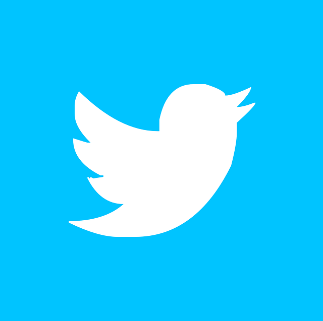 Twitter: Menos usuarios pero más rentable